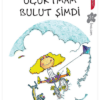 Kitap Sevim Ak Uçurtmam Bulut Şimdi Türkçe Kitap