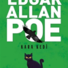 Kitap Edgar Allan Poe Kara Kedi Türkçe Kitap