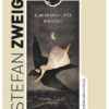 Kitap Stefan Zweig Alacakaranlıkta Bir Öykü 9786052944479 Türkçe Kitap