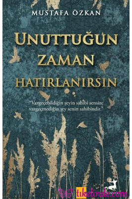 Kitap Mustafa Özkan Unuttuğun Zaman Hatırlanırsın 9786258043303 Türkçe Kitap
